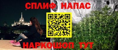 молекула духа Донской