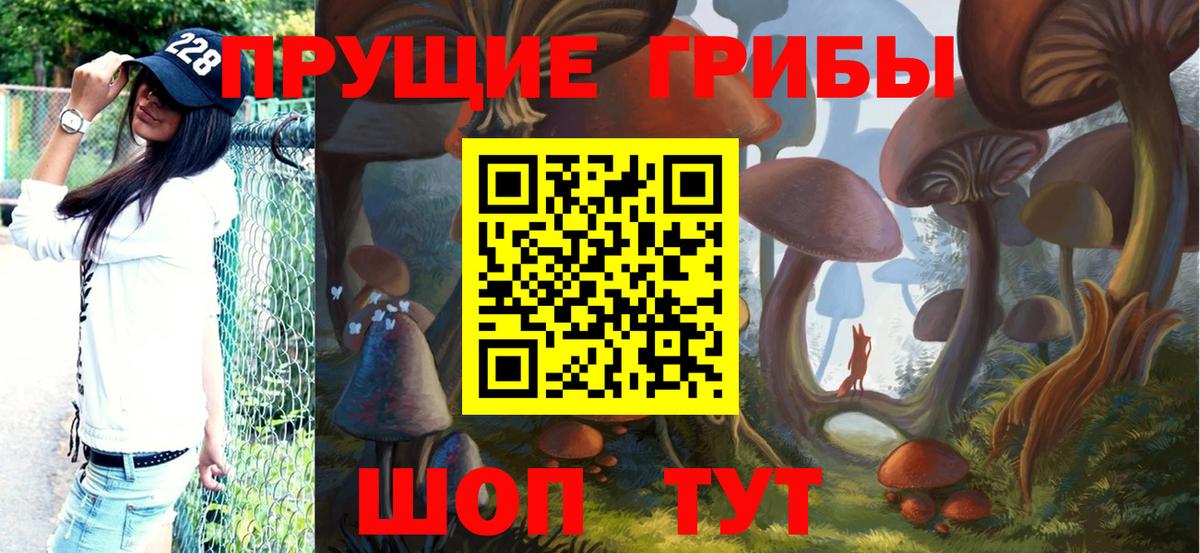 Псилоцибиновые грибы мухоморы  Вход с VPN  Галлюциногенные грибы Psilocybine cubensis  Муром 